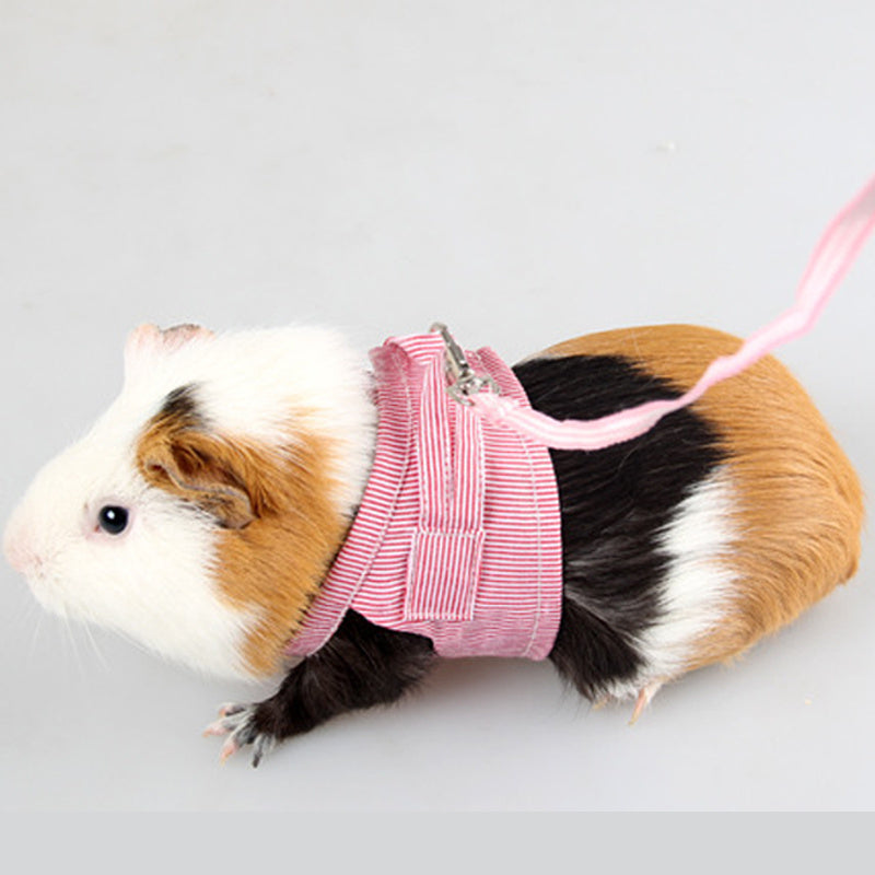 Towing Rope Baby Rabbit Chinchilla Mink Pet Chest Strap Out Traction Rope