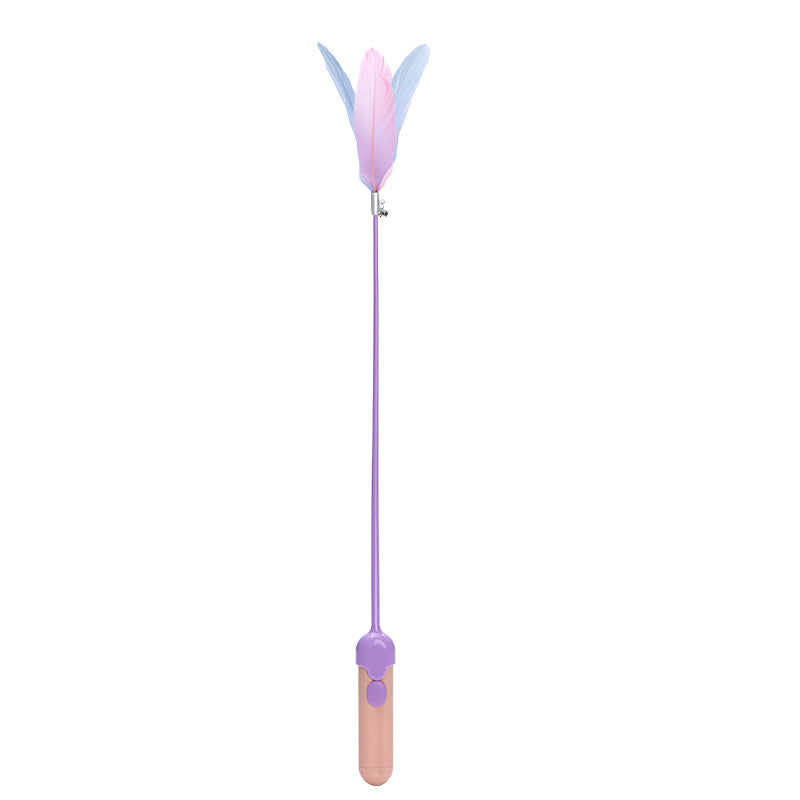 New Pet Cat Toy Products Feather Teasing Stick